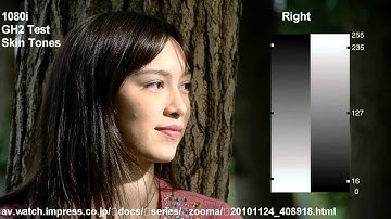Sony Vegas Pro - Debugmode Frameserver - AviSynth/QTGMC - MeGUI/Nero-AAC/x264