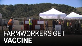 Farmworkers, Teachers Among Those Now Eligible to Get Vaccinated in Santa Clara County
