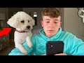 IGNORING MY DOG FOR 24 HOURS!!