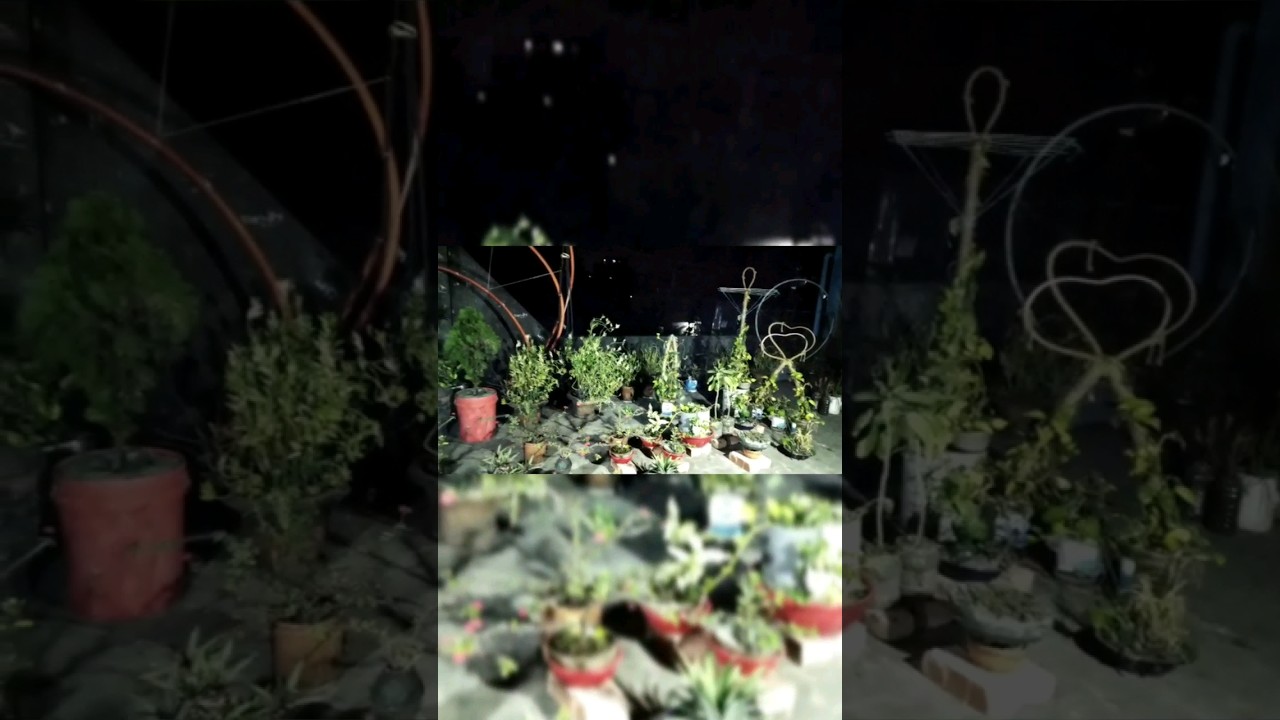 Roof Garden of ARN's World 