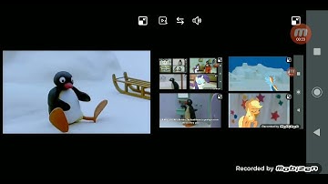 up to faster 11 parison to Pingu tv channels