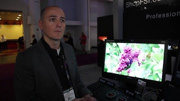 NAB 2015 FSI - Flanders Scientific