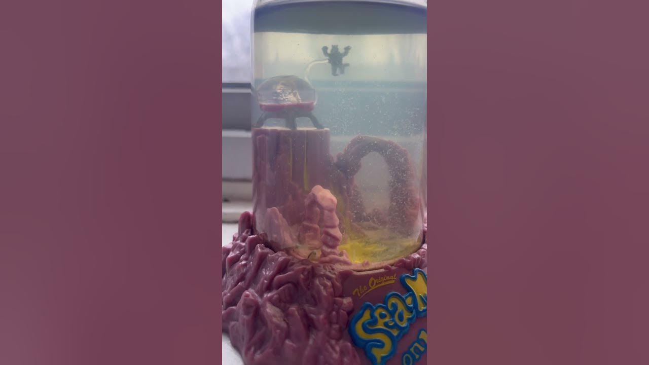 Sea Monkeys on mars day 30 YouTube