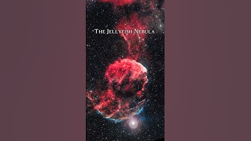 I Photographed a JELLYFISH in SPACE! 📸🔭🪼