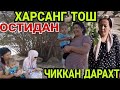 ТЕМИР ХОТИНДАН БУНИ КУТМАГАН ЭДИМ ТЕЗ КУРИНГ... ( ОХУНОВ ТВ )