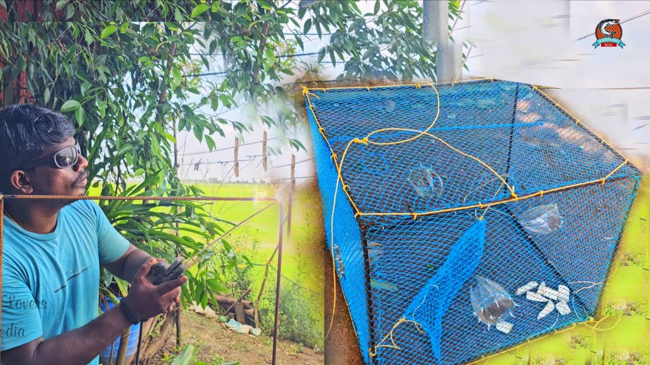 പുതിയ മോഡൽ കൂടും അതിൽ കിട്ടിയ മീനും 