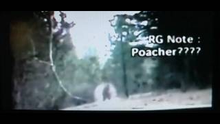 lost  tapes episode 14 big  foot  part-1