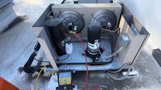 Walk-in cooler down - back to basics