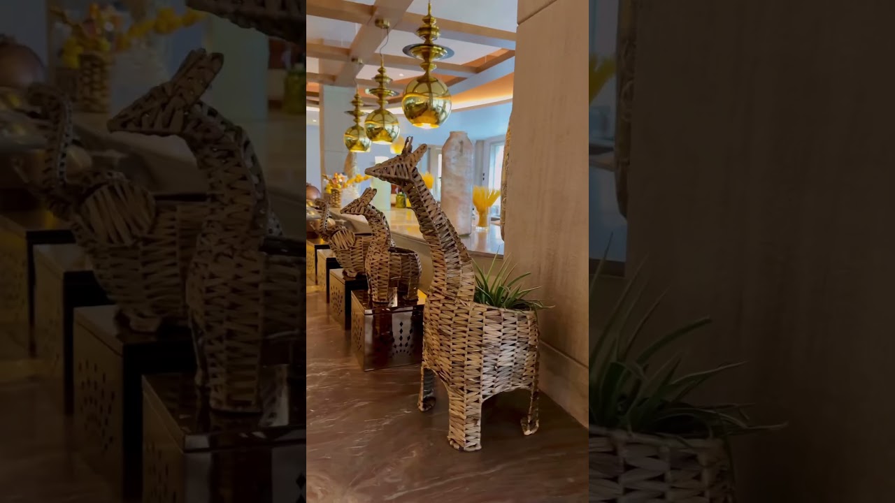 Iman Dhunia Resort 😍 