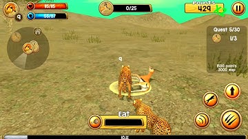 Wild Cheetah Sim 3D Android Gameplay  HD #1