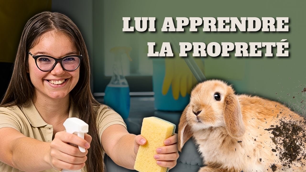 Apprendre la PROPRETÉ à son lapin 🚽