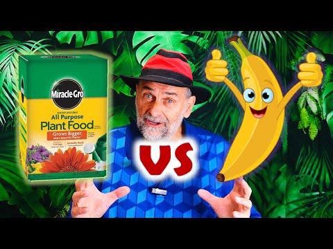 Is Synthetic Fertilizer Really Safe for Growing Food?