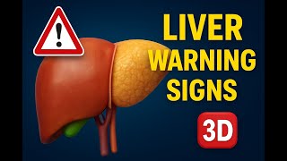 If Your Body Shows THIS, Your Liver Is In Trouble! – DON'T Ignore It |3D