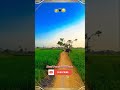 Beauty of Punjab P17 #trending #youtubegrowth #viralvideos #youtubetips #growyoutube #newyoutuber