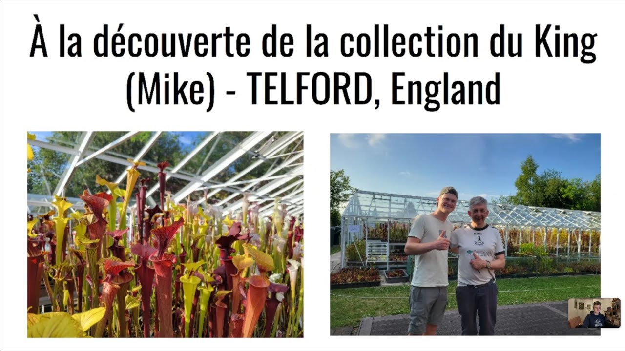 À la découverte de la collection du King (Mike) par Enzo Defer pouyr 