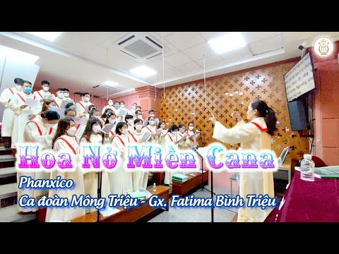 Video HOA NỞ MIỀN CANA - Phanxico | Thánh Lễ Hôn Phối | Ca... - youtube