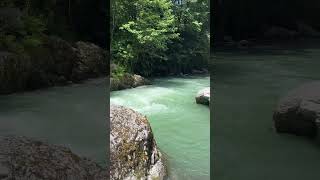 This River in Georgia is Unreal #shorts #riversounds #naturetherapy #georgia #summertime #mountains