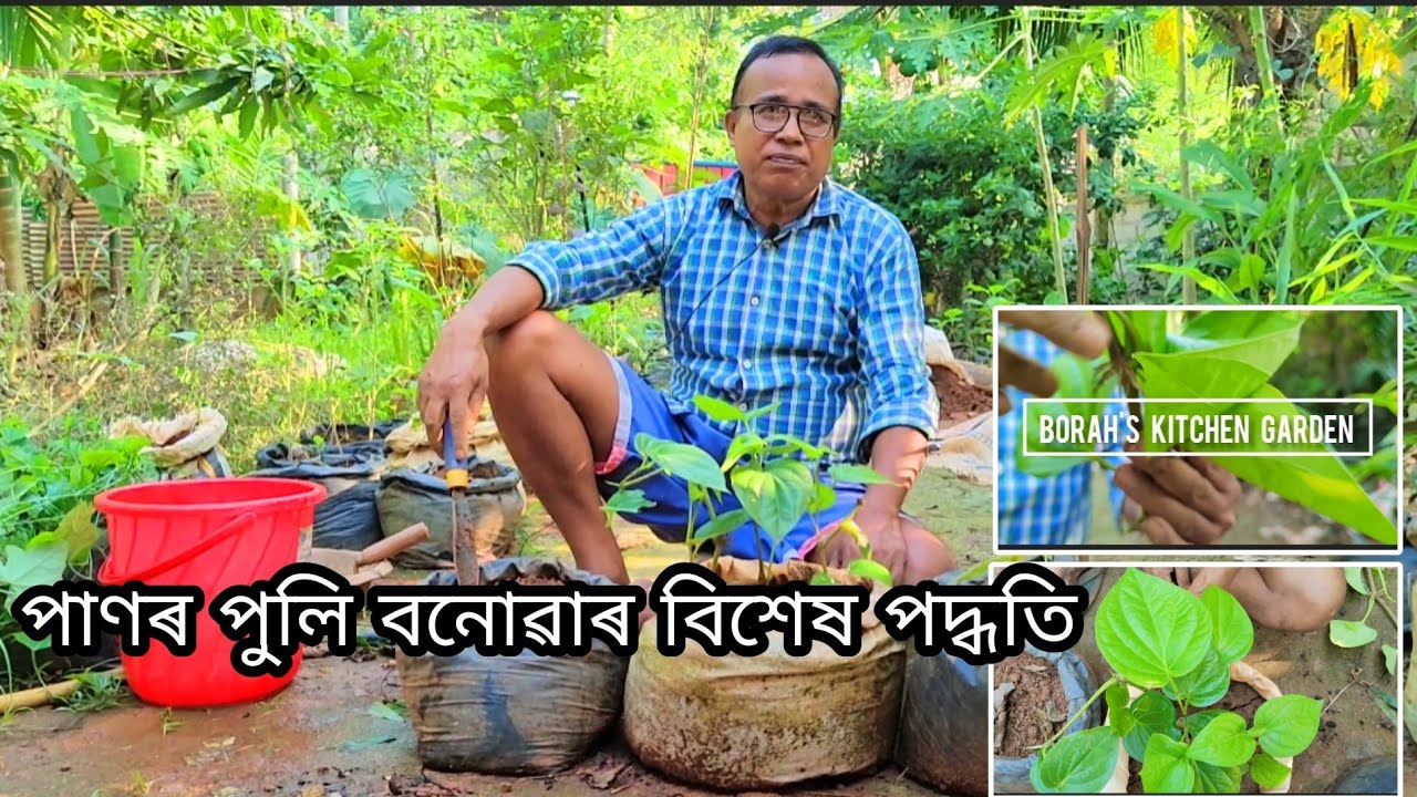পাণৰ পুলি উৎপাদনৰ বিশেষ কৌশল | (Scientific Method)