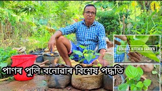 পাণৰ পুলি উৎপাদনৰ বিশেষ কৌশল | (Scientific Method)