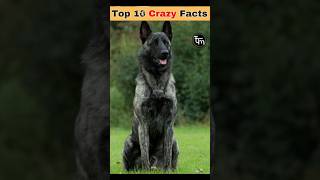 Top 10 Crazy fact #shorts #trending #viral #facts