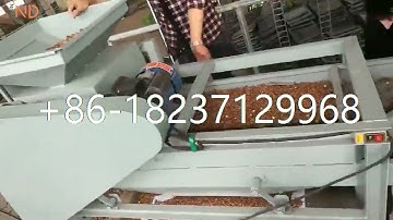 Automatic Almond Shelling Palm Kernel Cracking Machine Hazel Nut Cracker Machine