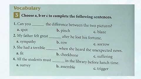 APSACS Class 8 English Literature Lecture # 6