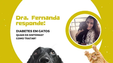 Como diagnosticar diabetes em gato?