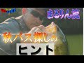 秋バスをどう探す？まるりん流・野池パターン構築の考え方～まるりんのMY GAME～｜How to Find Autumn Bass: Marurin’s Pattern Strategy