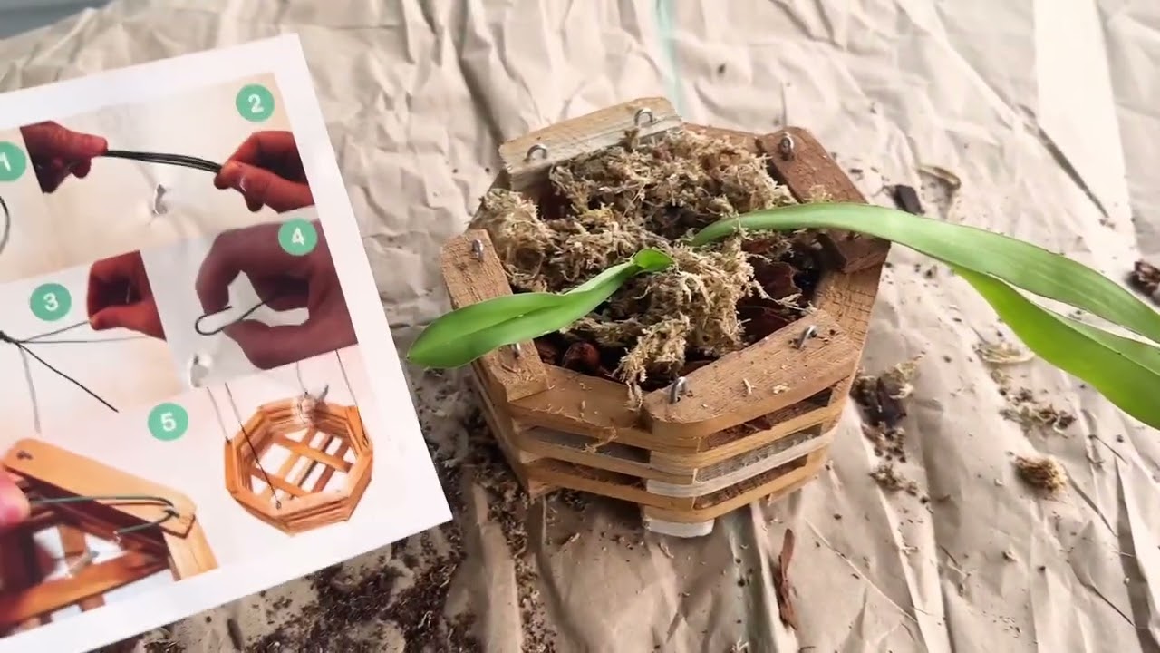 DESQUIGGLE Set of 3 Strong Teak Wood Octagon Shaped Orchid Baskets for Outdoors Review