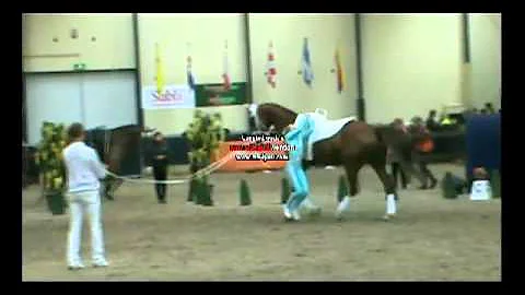 Julia Pitchford , Freestyle , Ermelo 2012