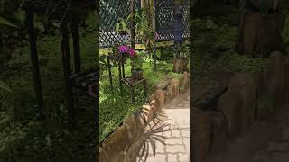 Rio botanicals part one