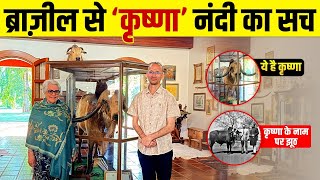 Brazil में Krishna नंदी का फ़ार्म अब कैसा है? उसके वंशज कैसे हैं? पहली बार सब कैमरे पर।