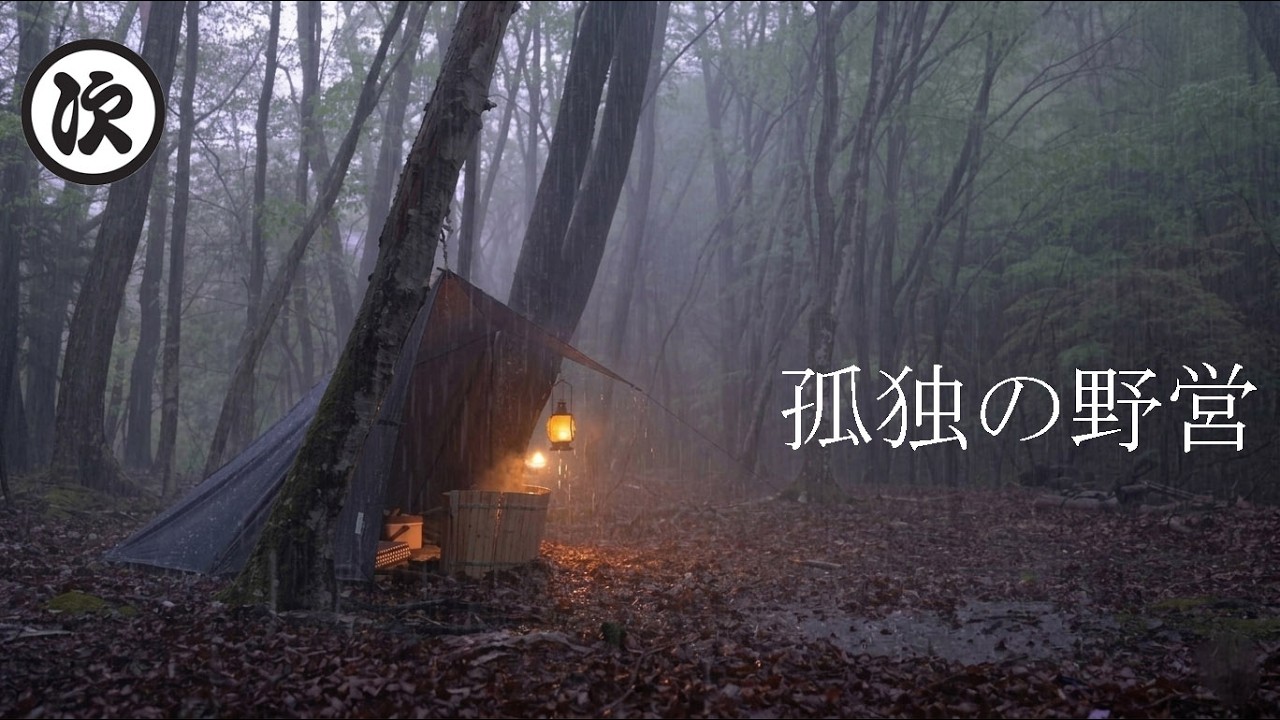 【ASMR】雨の青木ヶ原樹海。深い森の静寂と雨音に包まれるソロキャンプ。