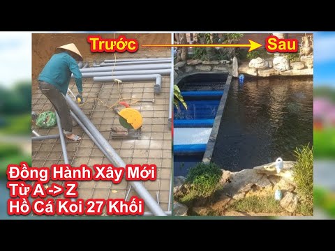 Video Đồng Hành Xây Mới Hồ Cá Koi 27 Khối Từ A-Z. Hồ Anh... - youtube