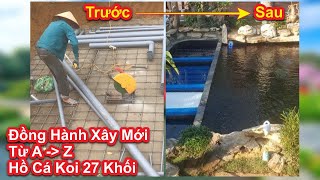 Đồng Hành Xây Mới Hồ Cá Koi 27 Khối Từ A-Z. Hồ Anh Đường Thi Công Tại Nghệ An #hocakoi