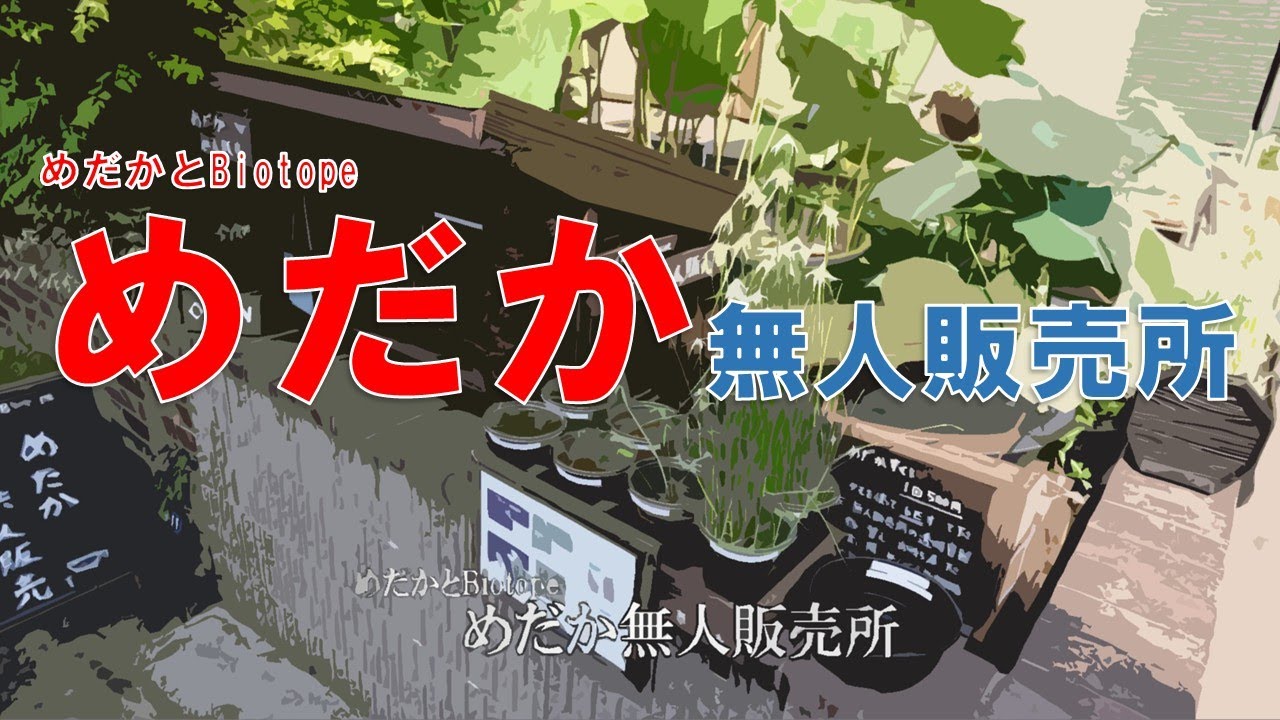 めだかとBiotopeの無人販売所の紹介 - YouTube