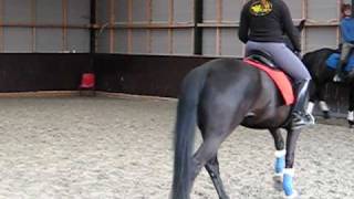 MVI_3916.AVI