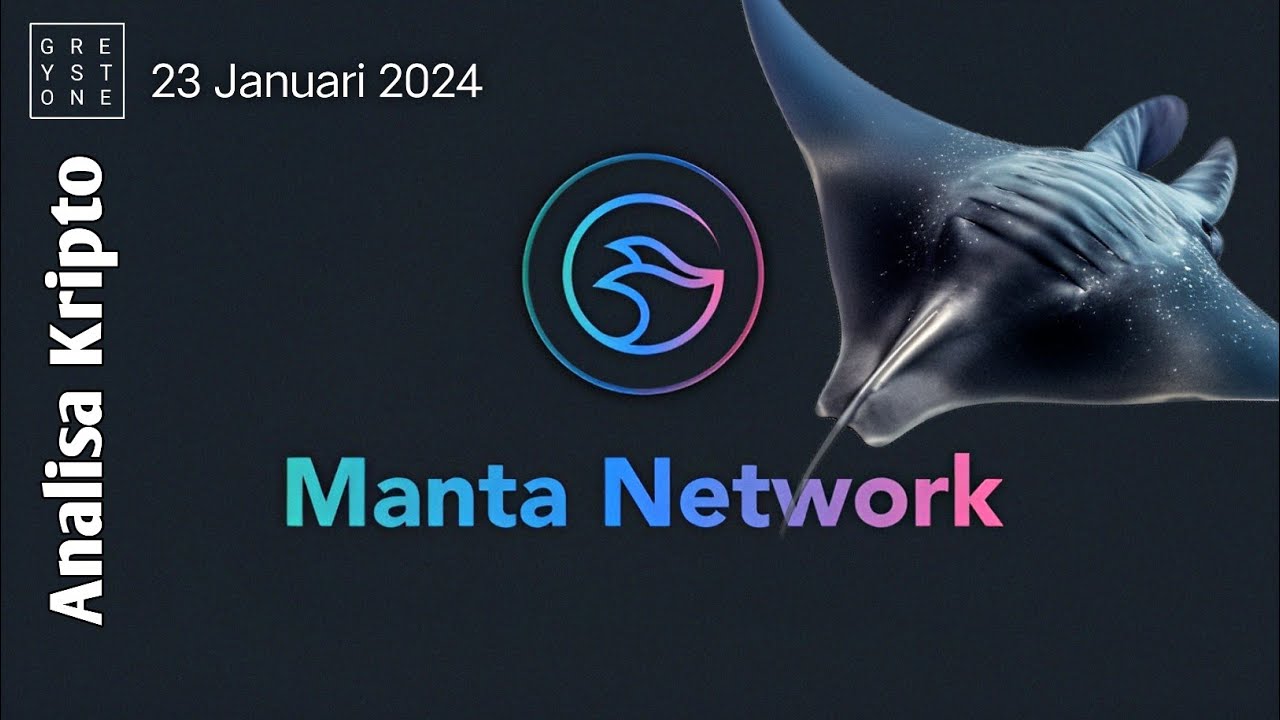 Analisa Kripto - Manta Network blockchain modular, Apakah akan menjadi ...