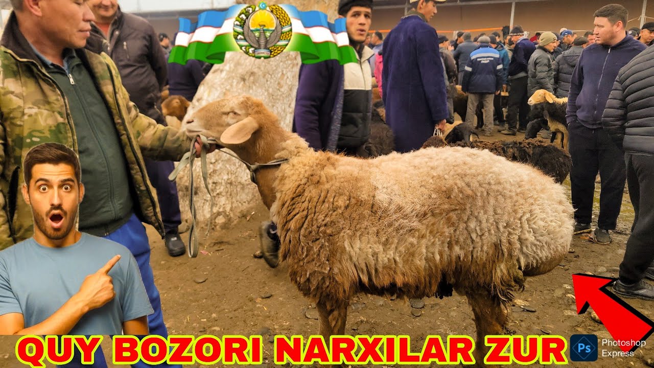 28.02.2026.YIL SAMARQAN JUMA QUY BOZORI