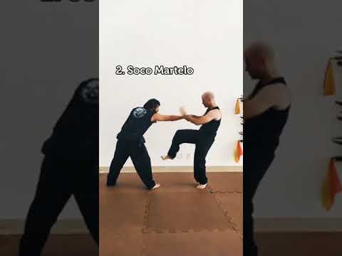 Vídeo: 4 Escolas de Artes Marciais em Hong Kong