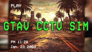 Is This Real Life or GTA 5 - CCTV Photorealism Test