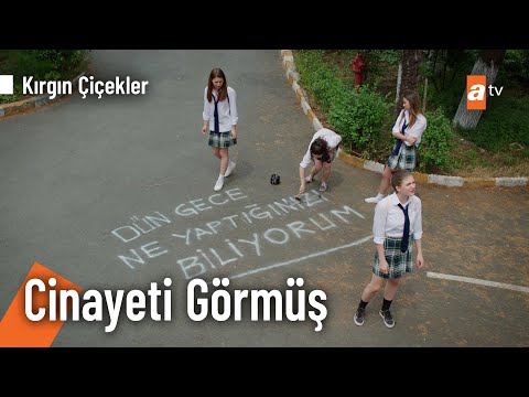 Dün Gece ölü Bir Adamı Denize Attık Kırgın Çiçekler Kolaj KirginCicekler