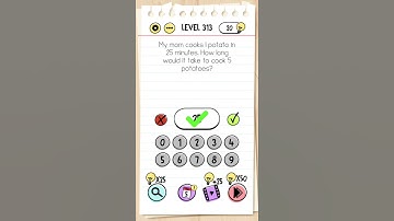 brain test level 313