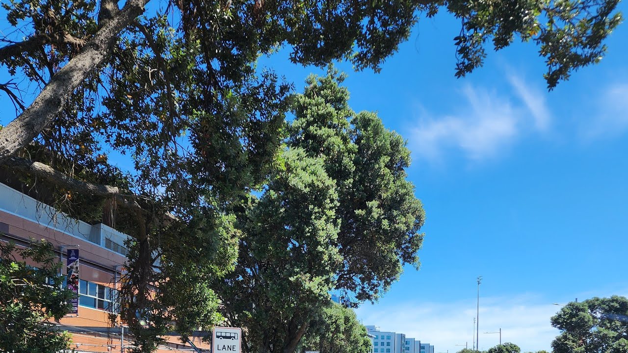 ManatuLelei Live Talanoa is live!