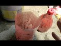Self Watering Pot