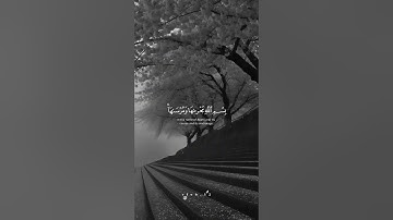 أرح سمعك لأجمل قراءة القران الكريم 🤍🥀🕊️🕊️