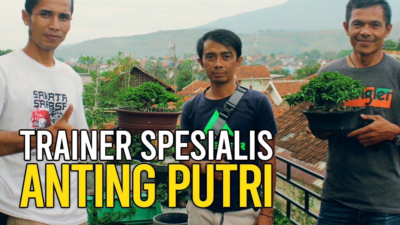 Anting Putri dan Seputar Perawatannya Ala Trainer Asal Cicalengka