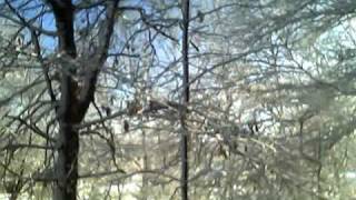 My Pretty song screenshot 4