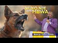 Huko Nje Wako Mbwa Bishop Zachary Kakobe