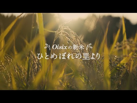 oisixの新米　ひとめぼれの里より